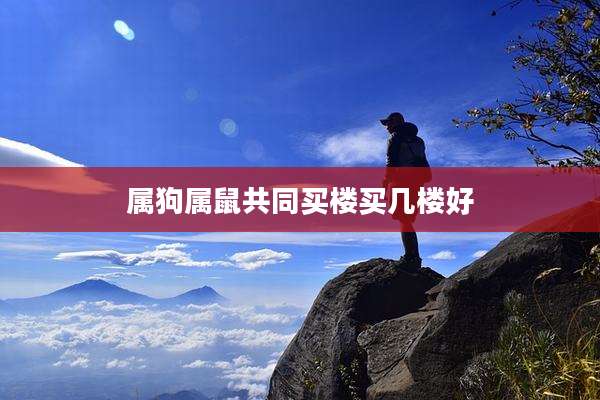 属狗属鼠共同买楼买几楼好