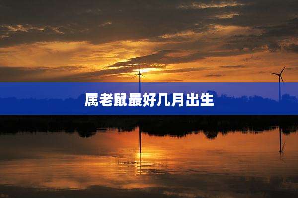 属老鼠最好几月出生
