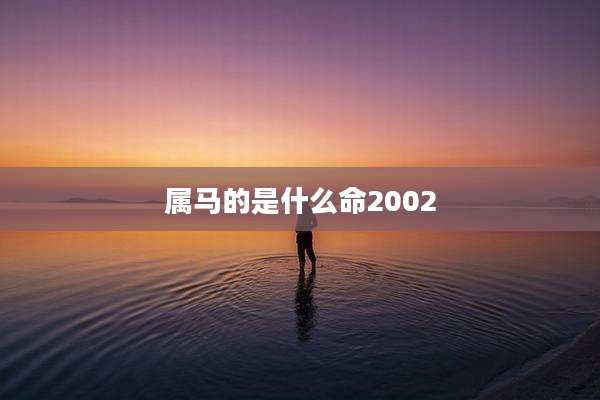 属马的是什么命2002