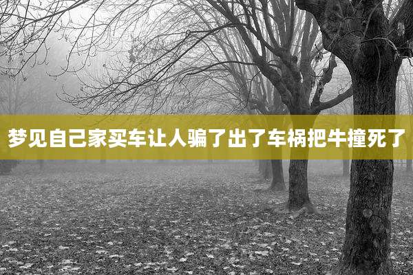梦见自己家买车让人骗了出了车祸把牛撞死了
