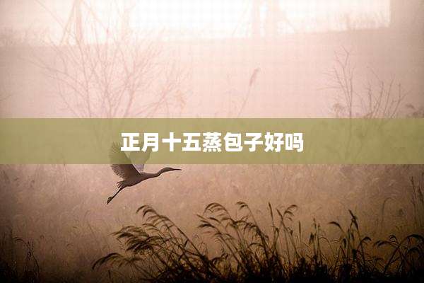 正月十五蒸包子好吗