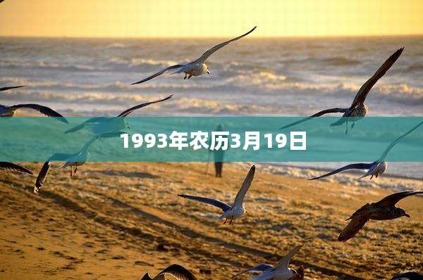 1993年农历3月19日