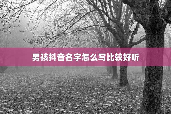 男孩抖音名字怎么写比较好听