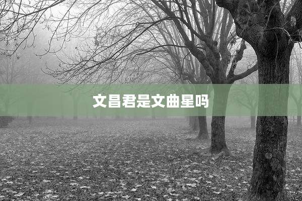 文昌君是文曲星吗