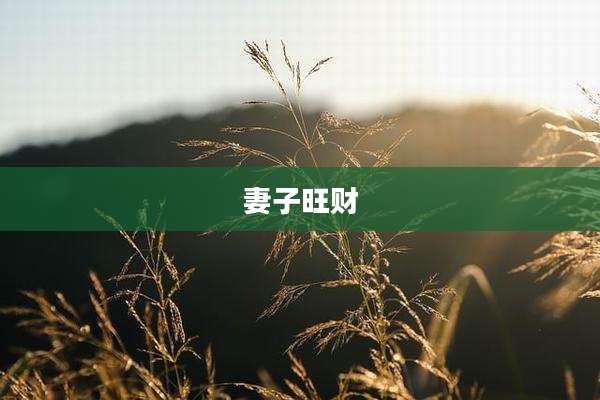 妻子旺财