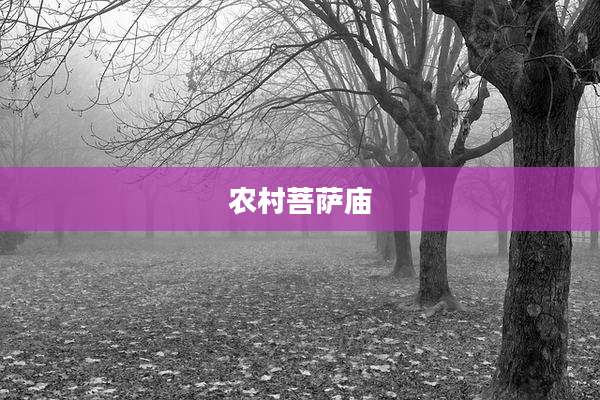 农村菩萨庙