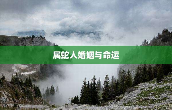 属蛇人婚姻与命运