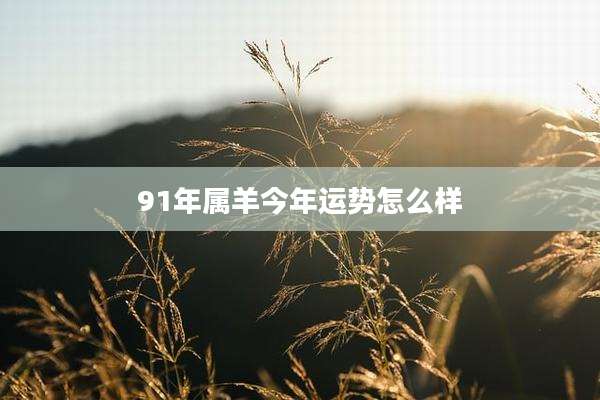 91年属羊今年运势怎么样