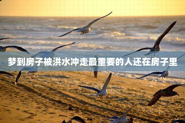 梦到房子被洪水冲走最重要的人还在房子里