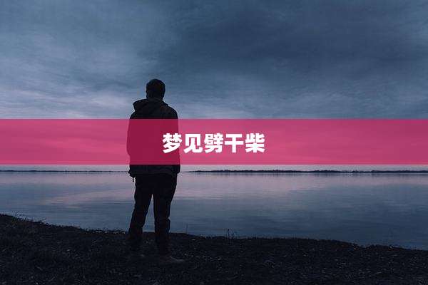 梦见劈干柴