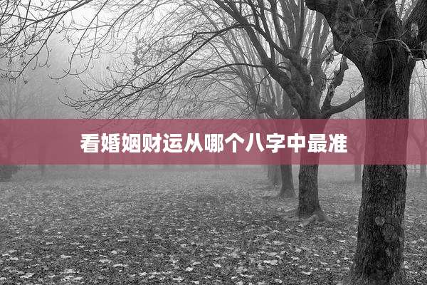 看婚姻财运从哪个八字中最准