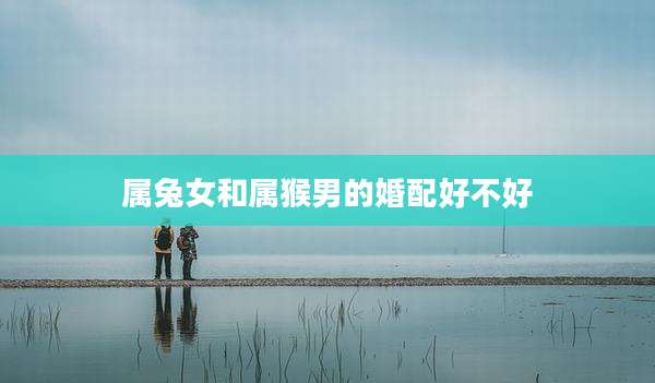 属兔女和属猴男的婚配好不好