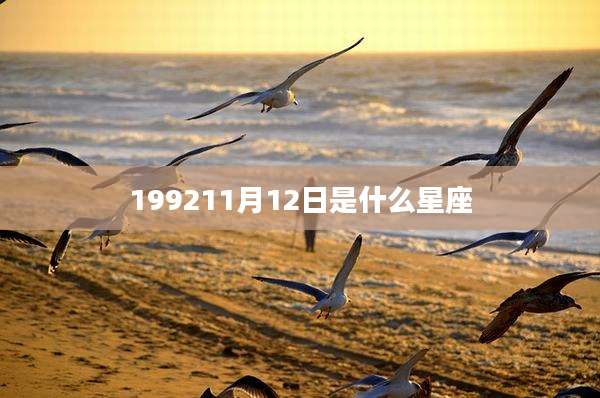 199211月12日是什么星座