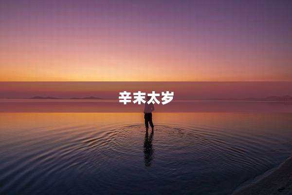 辛末太岁