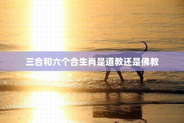 三合和六个合生肖是道教还是佛教