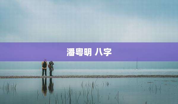 潘粤明 八字