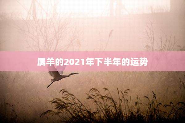 属羊的2021年下半年的运势