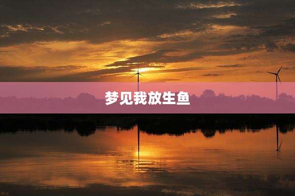 梦见我放生鱼
