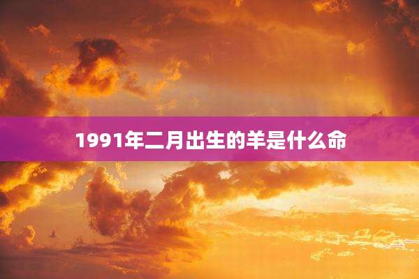 1991年二月出生的羊是什么命