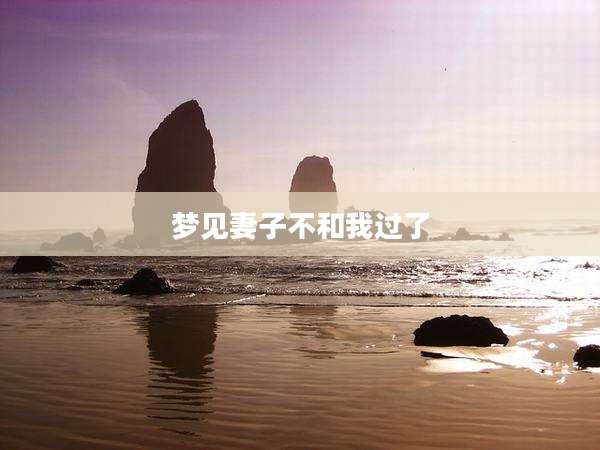 梦见妻子不和我过了