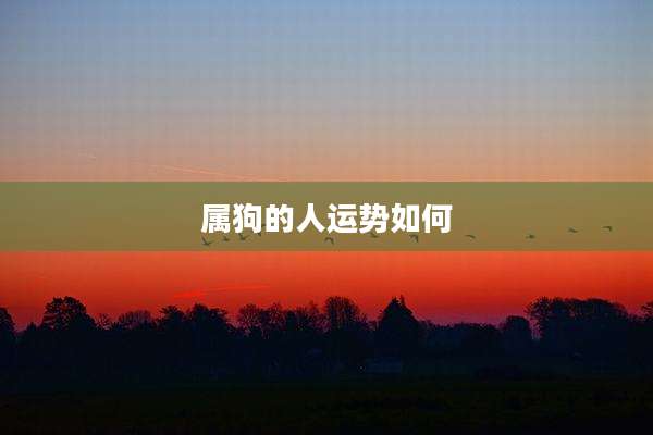 属狗的人运势如何