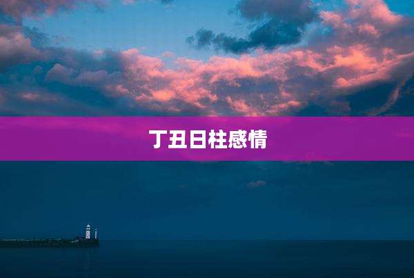 丁丑日柱感情