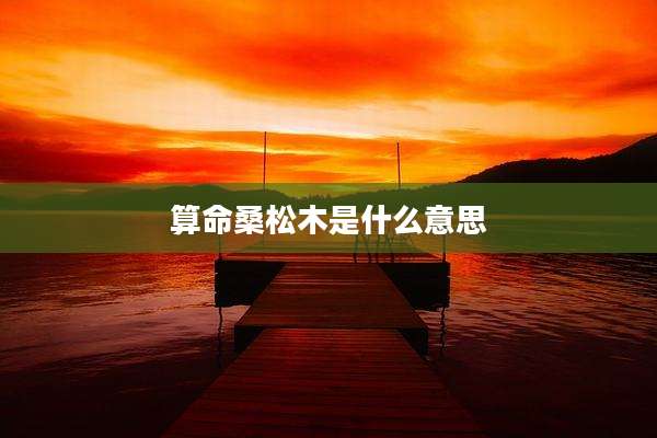 算命桑松木是什么意思