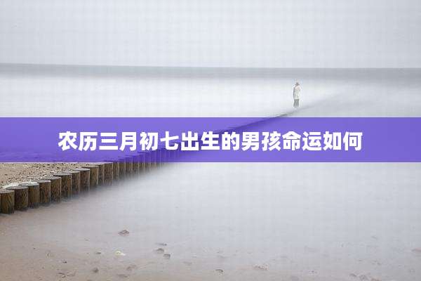 农历三月初七出生的男孩命运如何