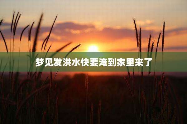 梦见发洪水快要淹到家里来了