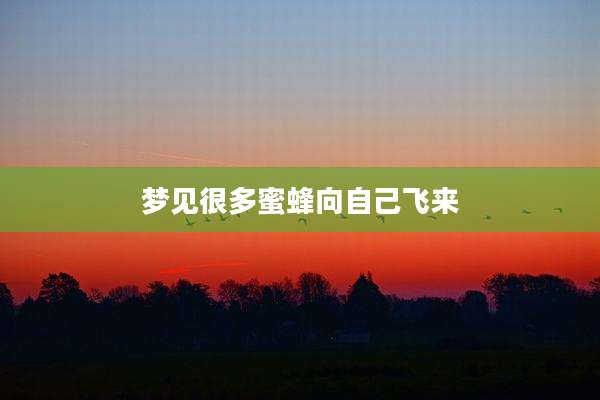 梦见很多蜜蜂向自己飞来