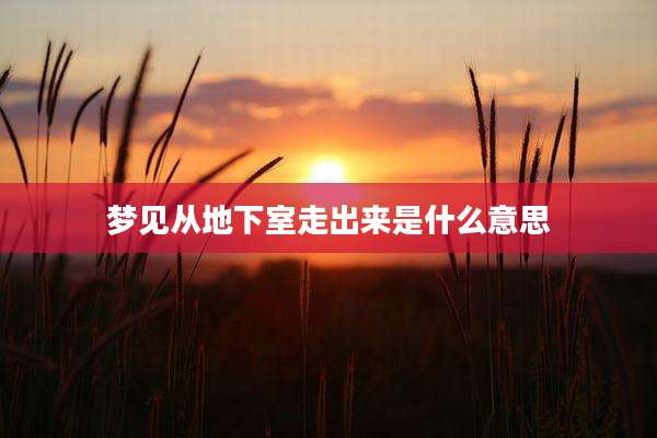 梦见从地下室走出来是什么意思
