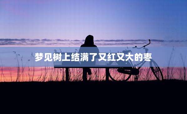 梦见树上结满了又红又大的枣