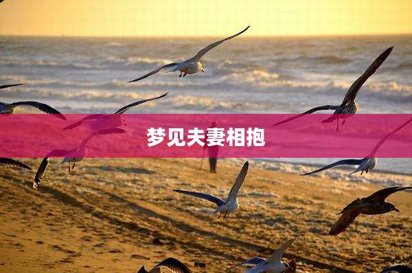 梦见夫妻相抱