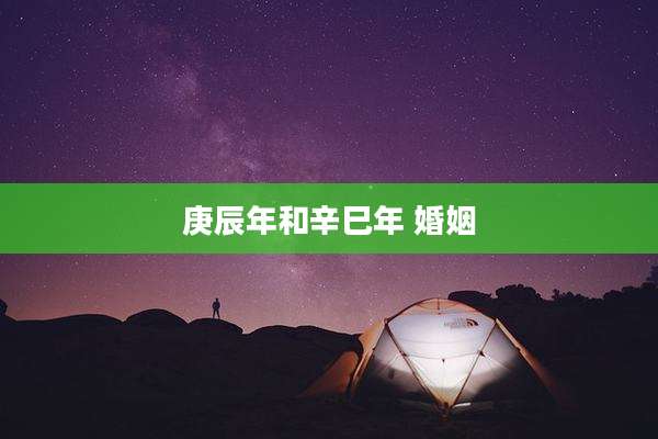 庚辰年和辛巳年 婚姻