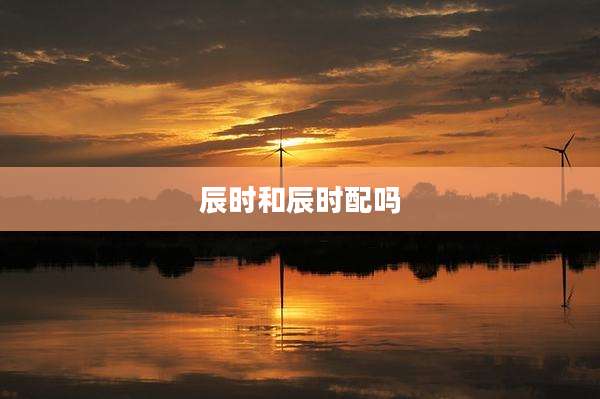 辰时和辰时配吗