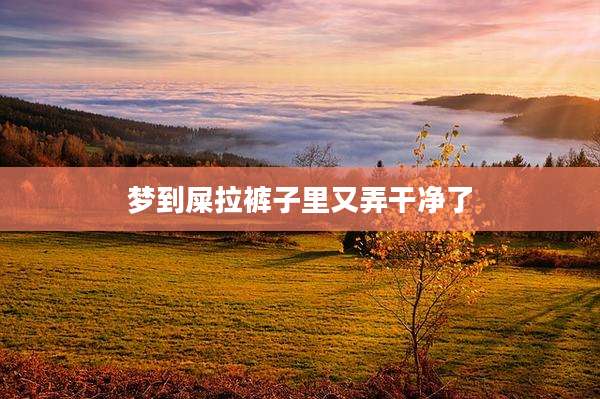 梦到屎拉裤子里又弄干净了
