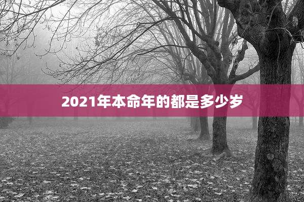 2021年本命年的都是多少岁