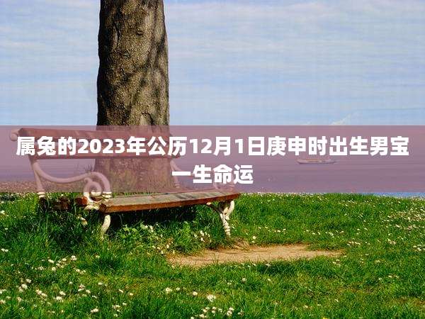 属兔的2023年公历12月1日庚申时出生男宝一生命运