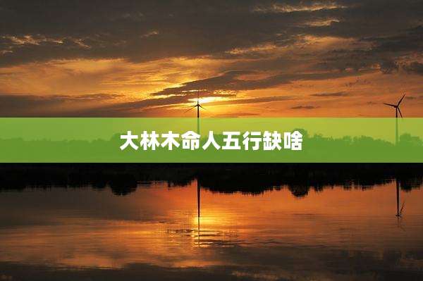 大林木命人五行缺啥