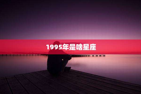 1995年是啥星座
