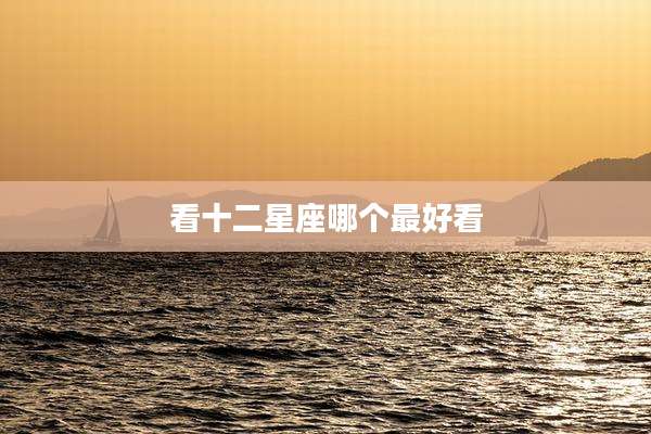 看十二星座哪个最好看