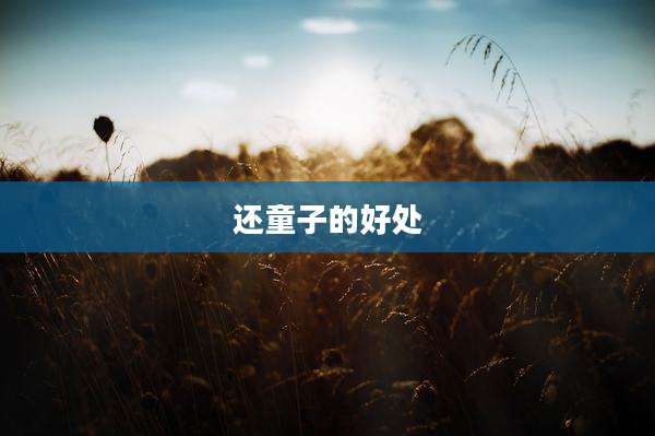 还童子的好处
