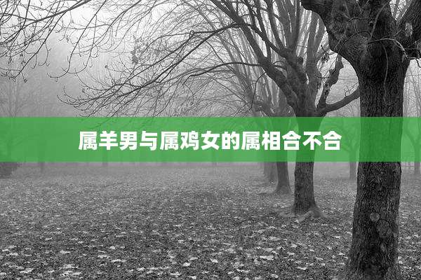 属羊男与属鸡女的属相合不合