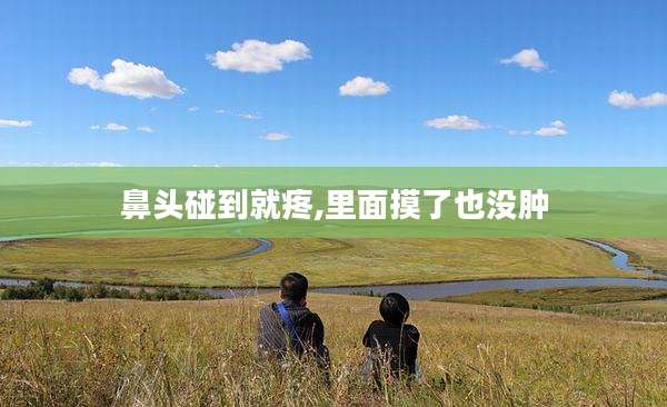鼻头碰到就疼,里面摸了也没肿