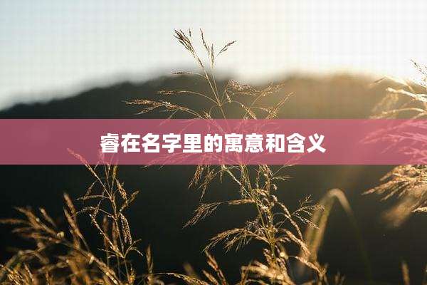 睿在名字里的寓意和含义