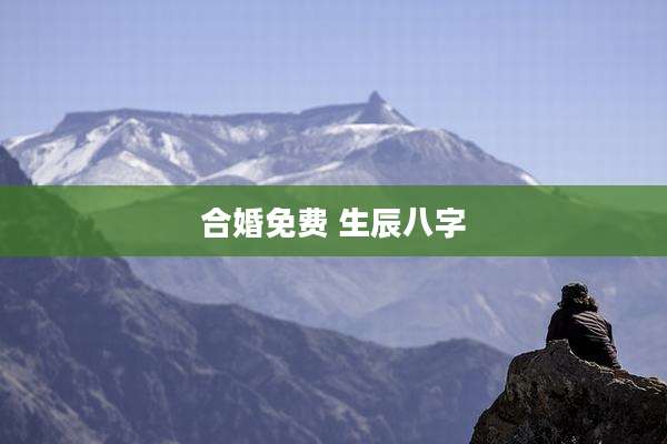 合婚免费 生辰八字