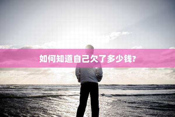 如何知道自己欠了多少钱?