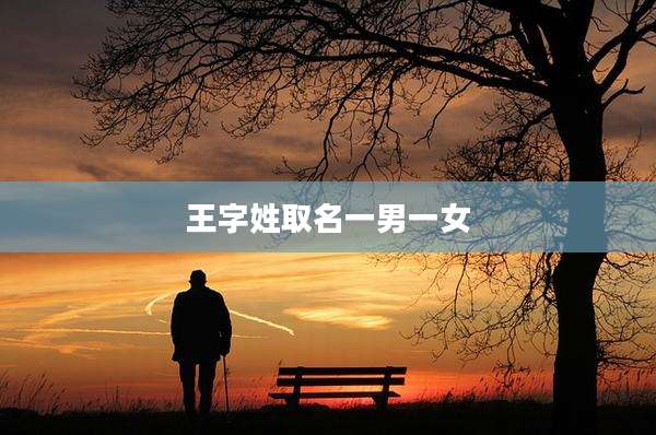 王字姓取名一男一女