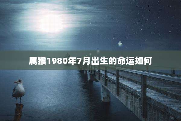 属猴1980年7月出生的命运如何