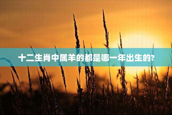 十二生肖中属羊的都是哪一年出生的?